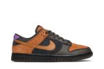 Nike Dunk Low Premium ‘Cider’ DH0601-001 Wabasta store