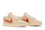 Nike Dunk Low ‘Terry Swoosh’ DZ4706-200